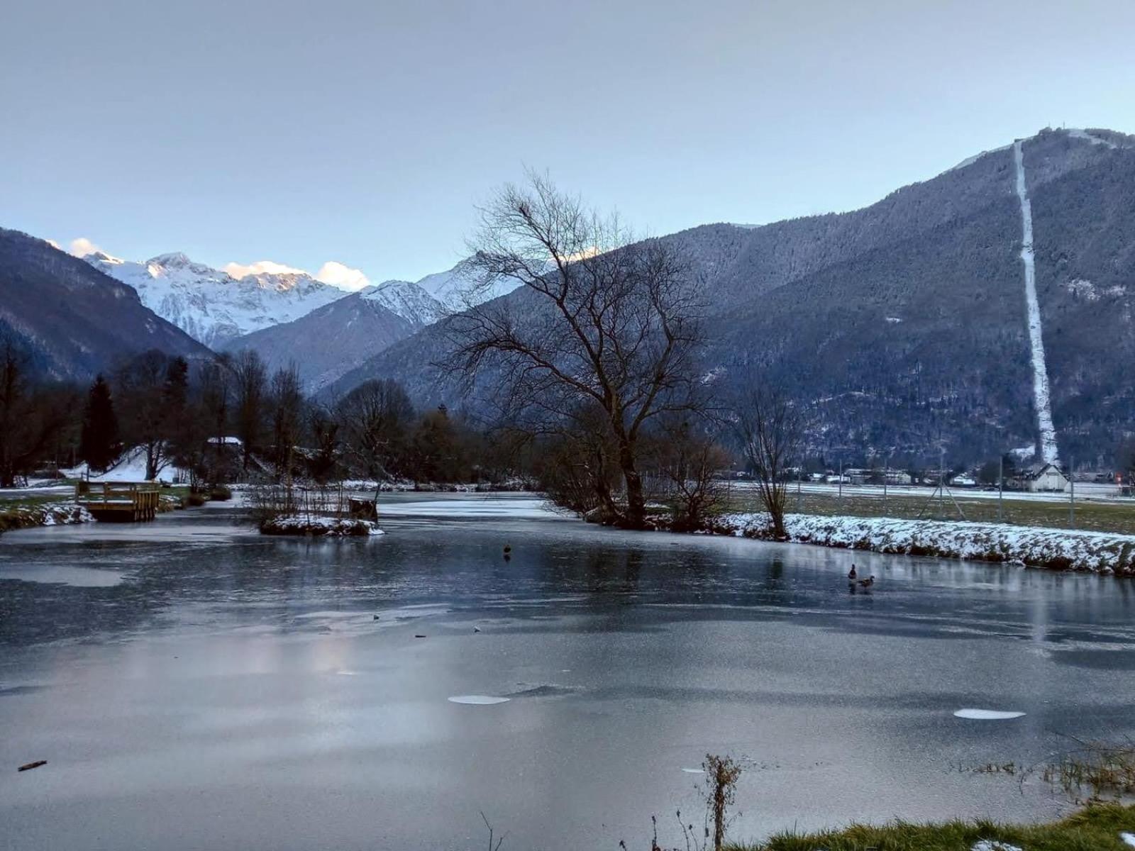 Le 102, T3 Pour 5 Personnes, Vue Montagne, Classe 2 Etoiles Nf, Parking, Piscine En Ete Bagneres-de-Luchon Exterior photo